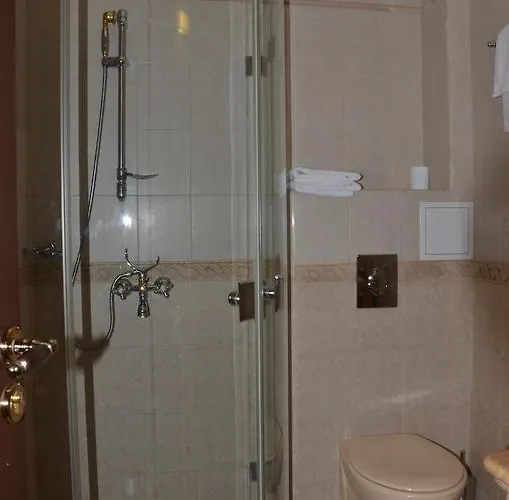 鲍里斯宫殿及餐厅精品酒店 4* 普罗夫迪夫