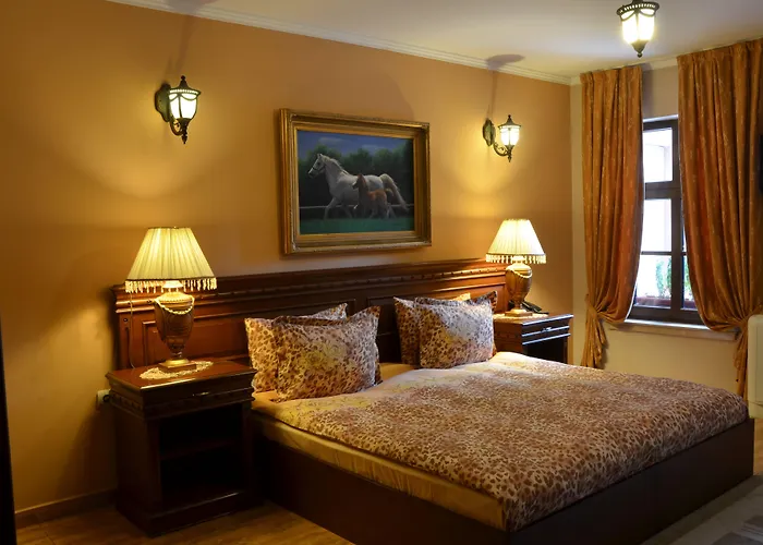 酒店 鲍里斯宫殿及餐厅精品酒店 普罗夫迪夫