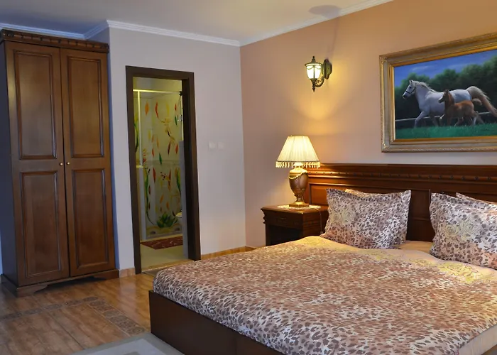 酒店 鲍里斯宫殿及餐厅精品酒店