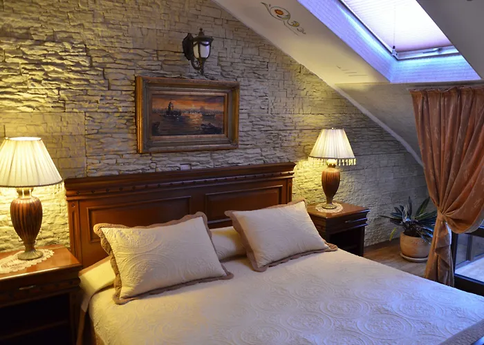 鲍里斯宫殿及餐厅精品酒店 4*