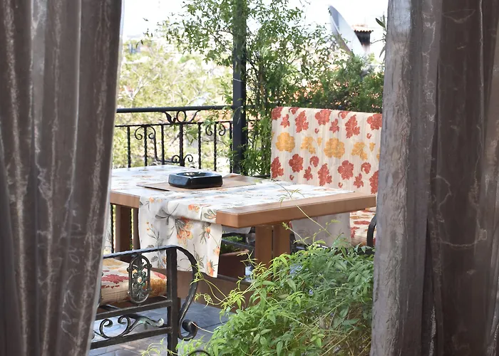 鲍里斯宫殿及餐厅精品酒店 4* 普罗夫迪夫