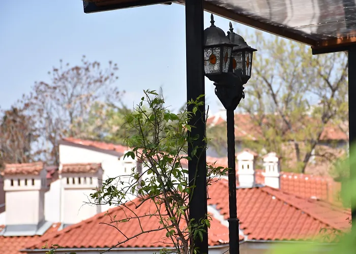 鲍里斯宫殿及餐厅精品酒店 普罗夫迪夫