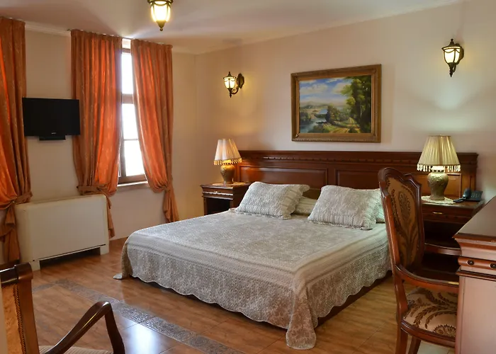 鲍里斯宫殿及餐厅精品酒店 4* 普罗夫迪夫