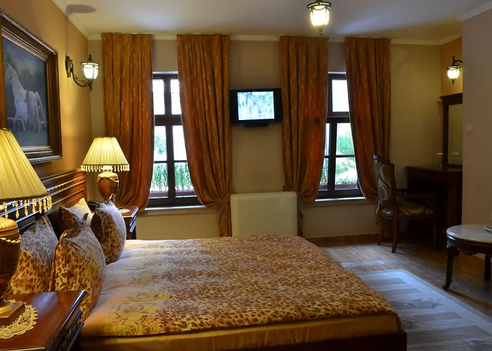 酒店 鲍里斯宫殿及餐厅精品酒店 普罗夫迪夫