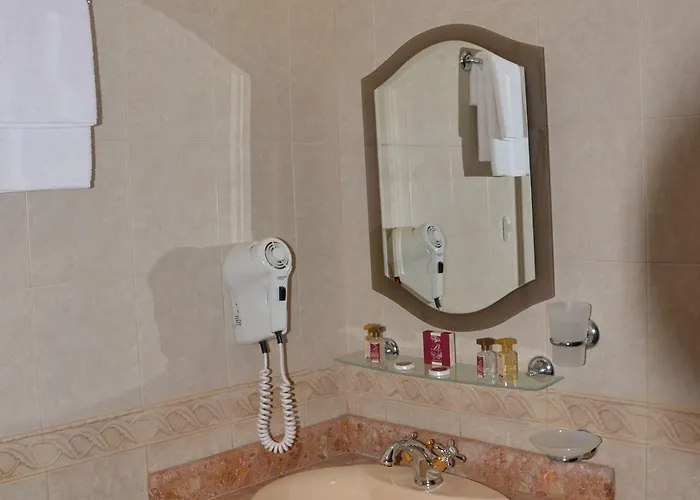 酒店 鲍里斯宫殿及餐厅精品酒店 4*