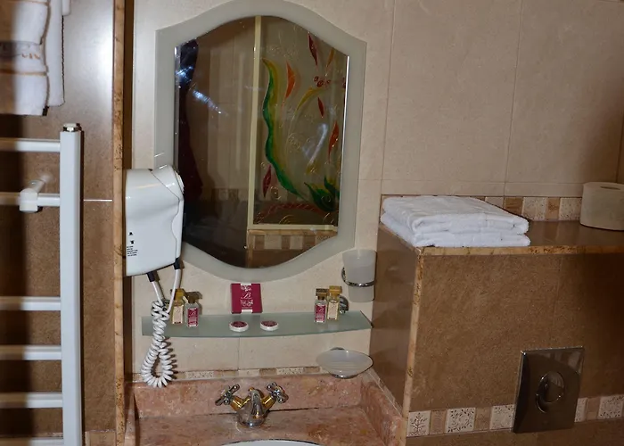 鲍里斯宫殿及餐厅精品酒店 酒店 普罗夫迪夫